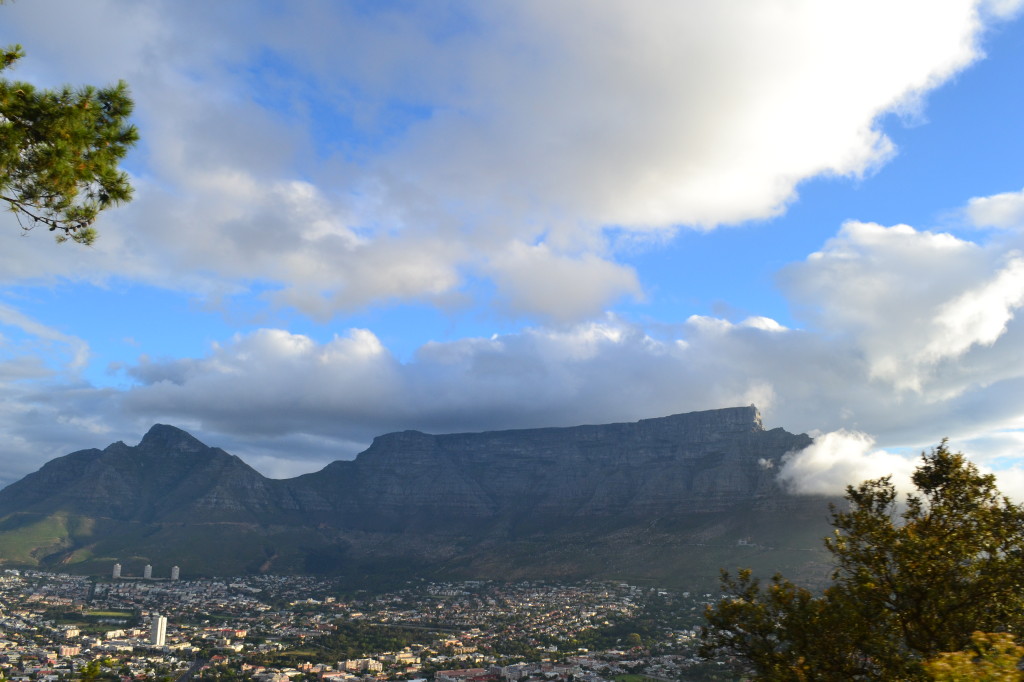 There is SO much to do in Capetown! What an amazing place