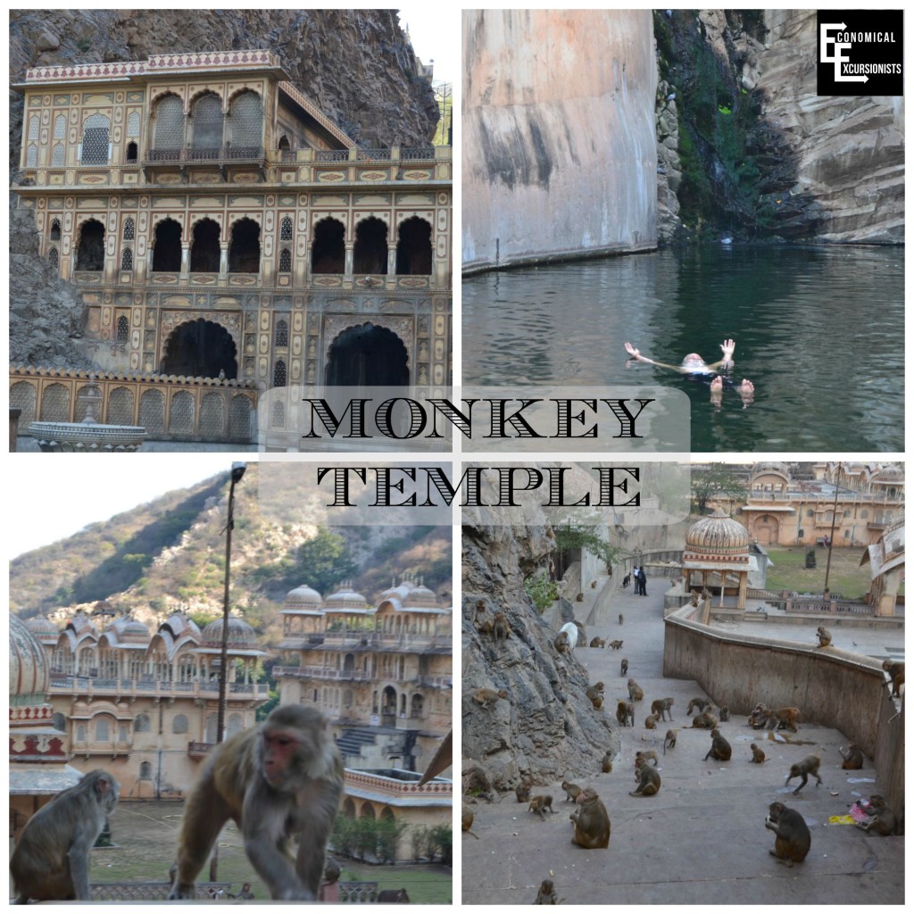 Jaipur Monkey Temple