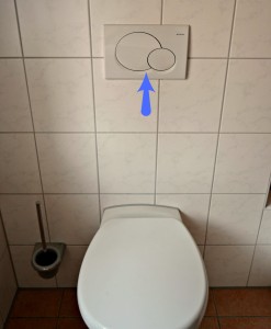 Toilet Buttons