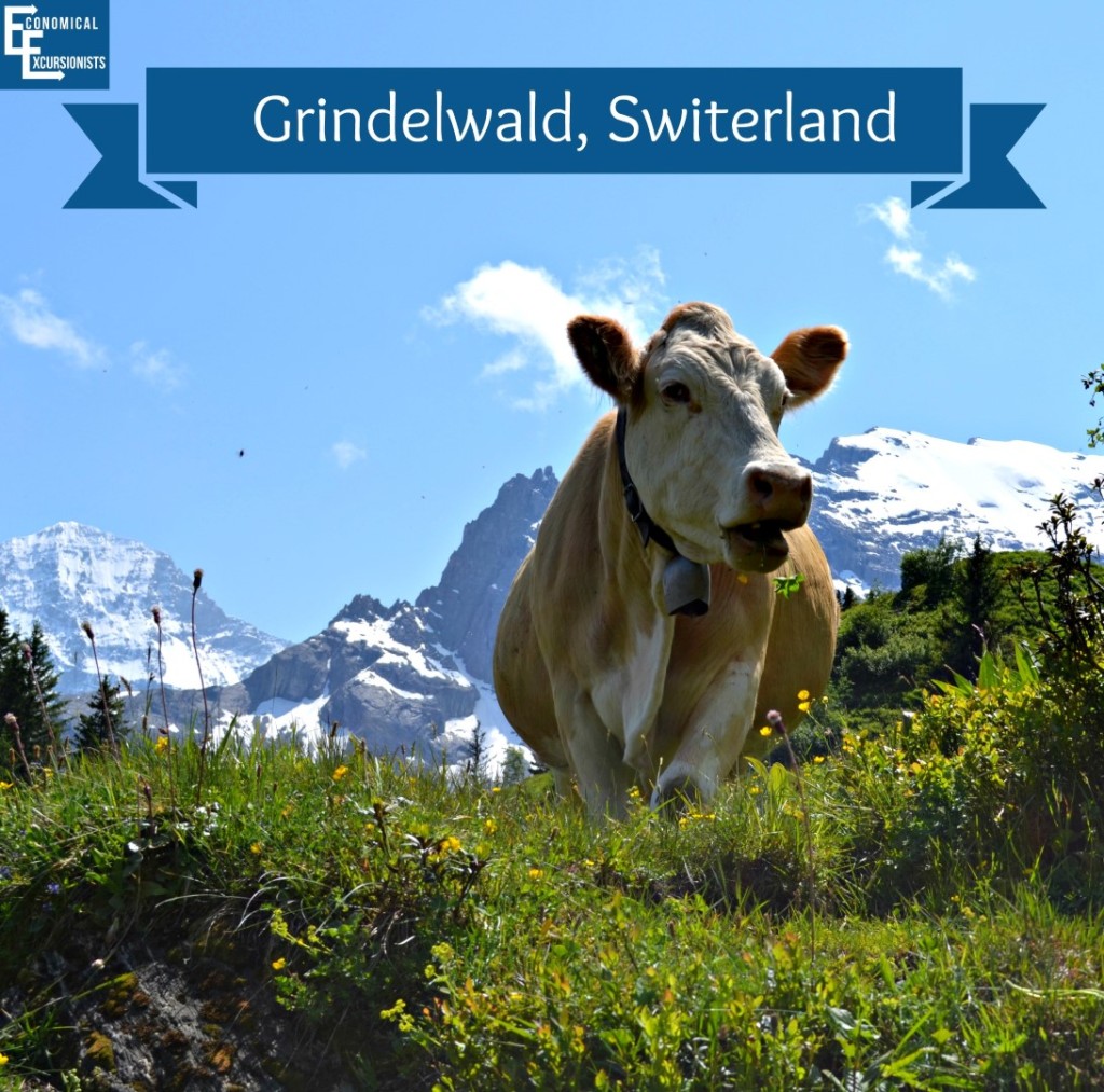 Grindelwald, Switerland: Can't get much closer to nature than that!