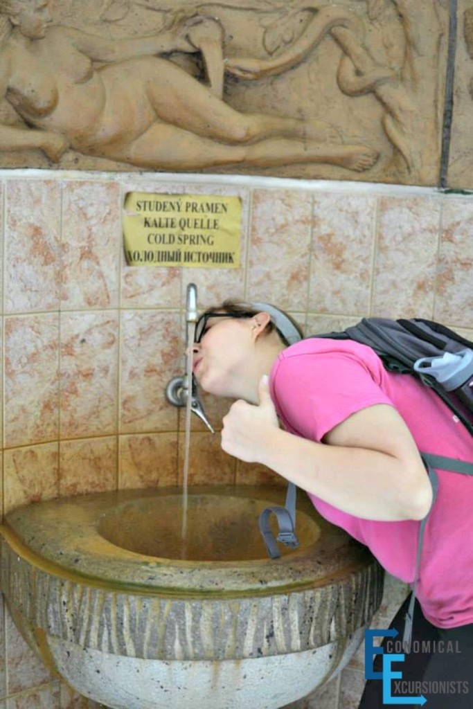 Drink in the "healing" mineral waters of the Karlovy Vary region in CZ: what ailments do you have?