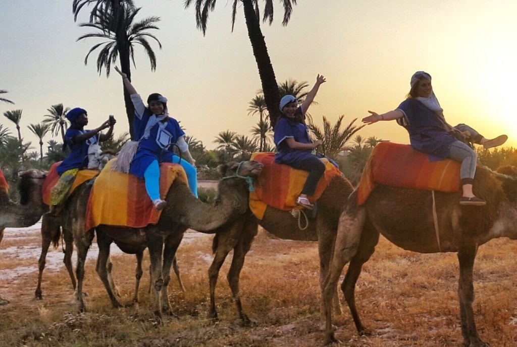 Camel Riding In Morocco