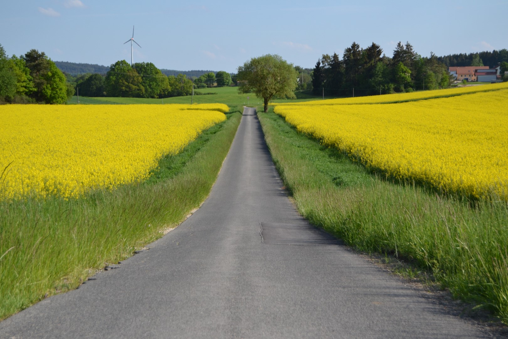 Spring in Bavaria