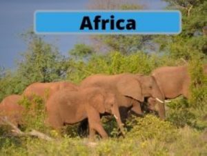Africa Trip Blogs