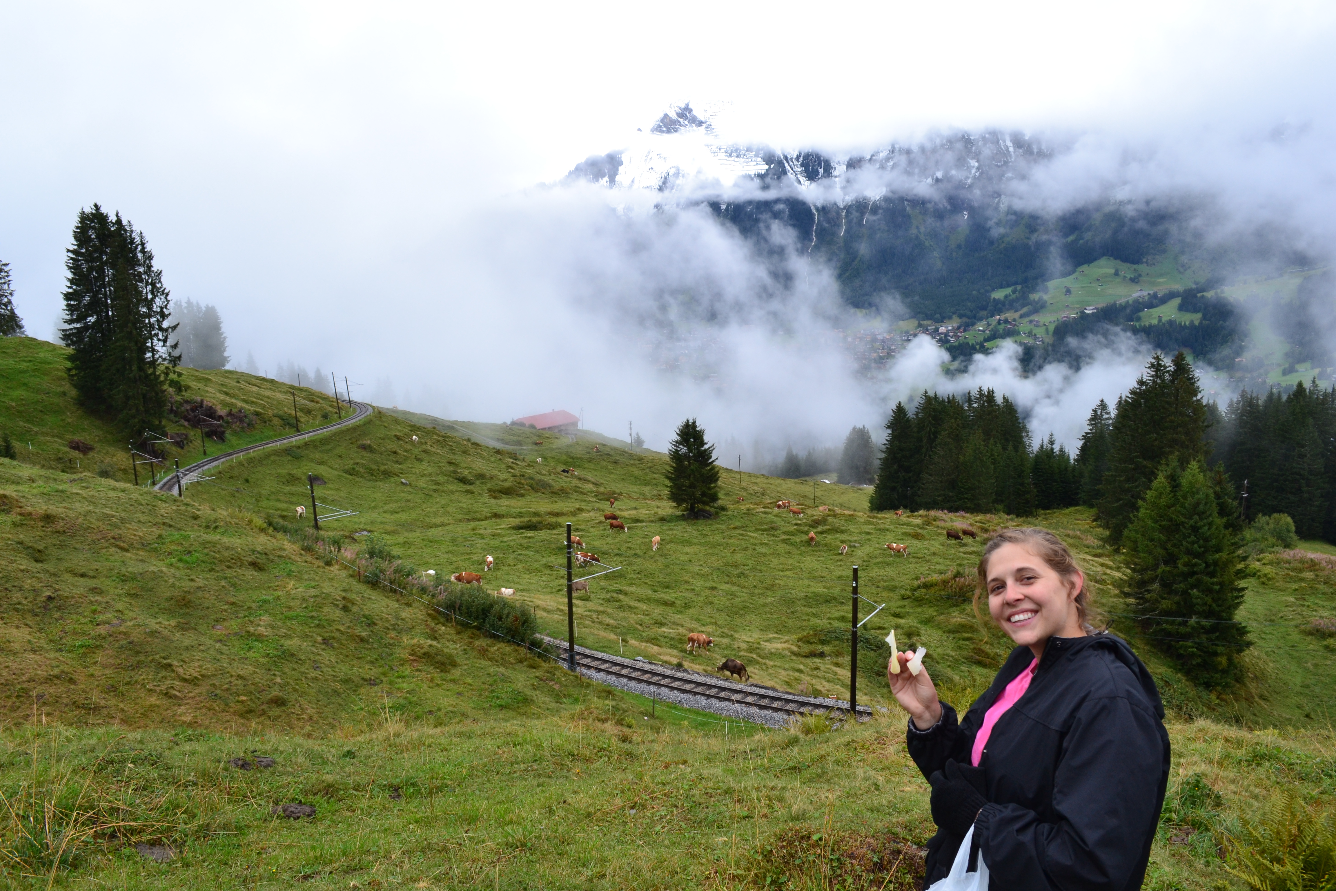 Swiss Cheese in the Swiss Alps