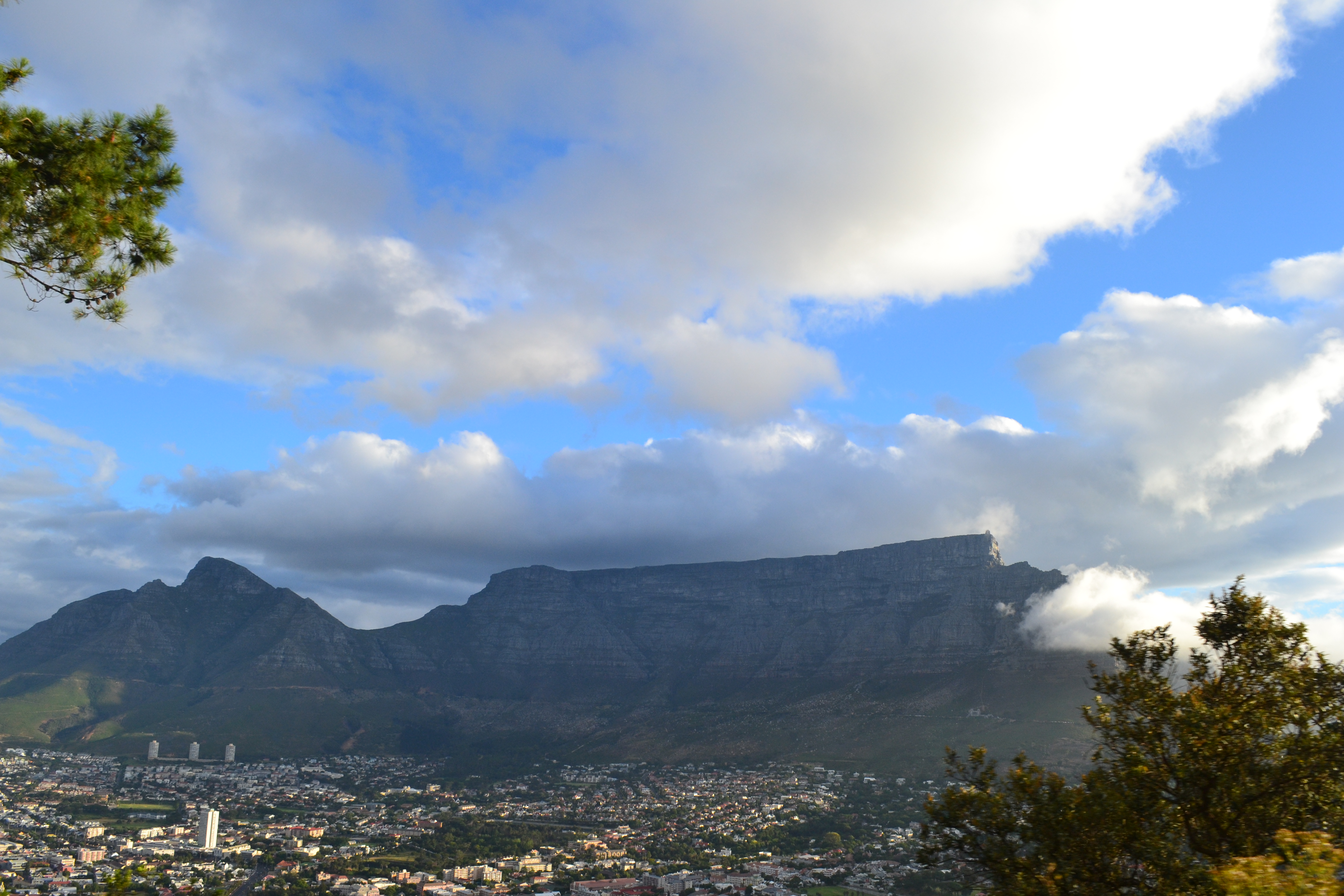 There is SO much to do in Capetown! What an amazing place