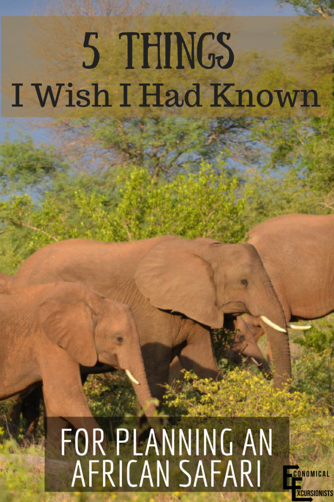 How To Plan An African Safari: Planning a safari was seriously overwhelming! I wish I had known these 5 things when I was planning to have cut down on the stress!