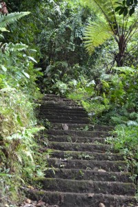 Over 1700 stairs (per way) makes for a tiring hike