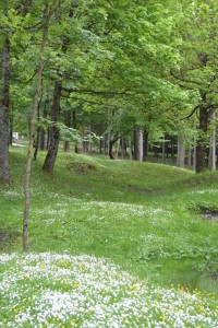 Craters where the French town of Fleury-Devant once stood