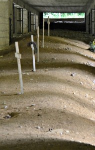 Trench of Bayonets