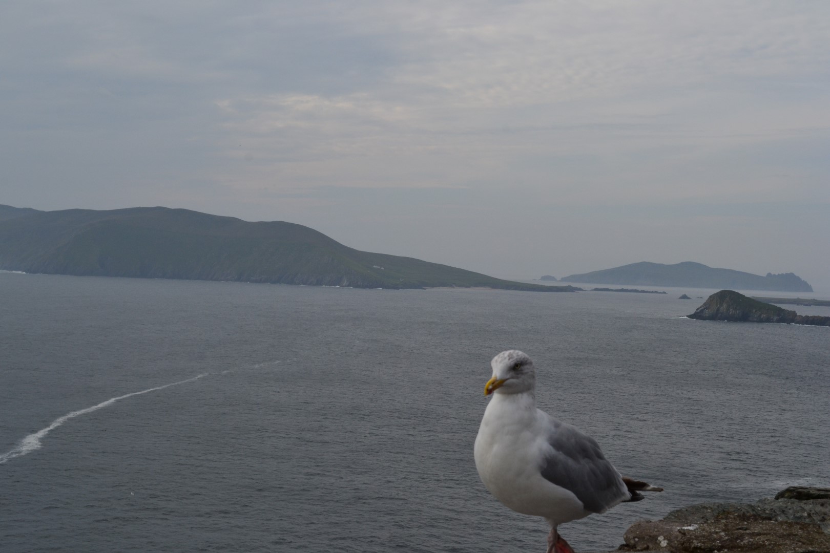 Blasket Islands in the Distance of Dingle Peninsula