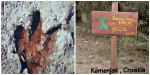 Kemenjak dinosaur tracks?
