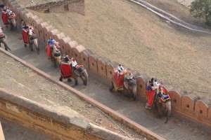 Elephant Rides at Amer Fort