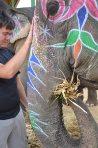 Andy feeding our elephant