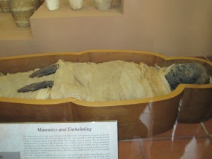 Vatican Museum Mummy