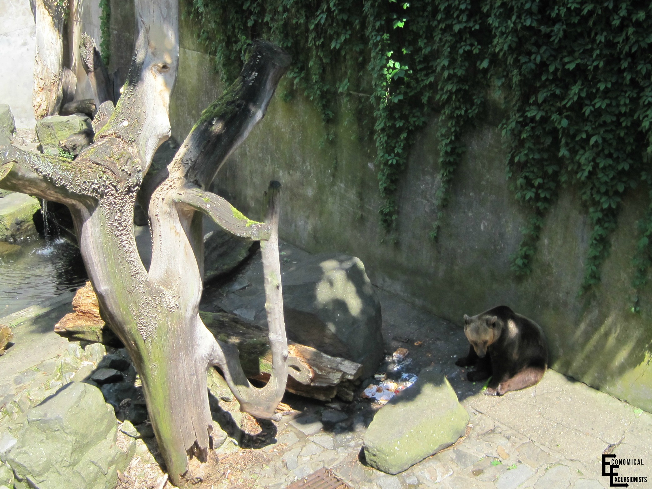 Have you ever seen a bear moat!? Well, there is one in Cesky Krumlov!