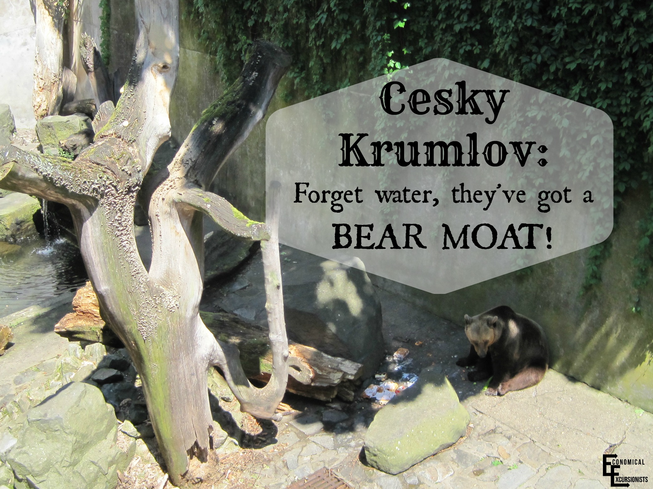 There are actually real bears instead of water in the castle moat!
