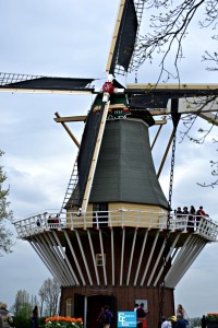 Dutch Windmill Keukenhof (Large)