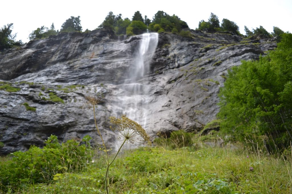 gimmelwald waterfalls