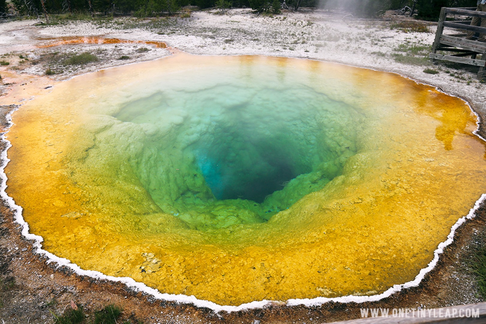 Yellowstone- the perfect place for a family vacation in the summer