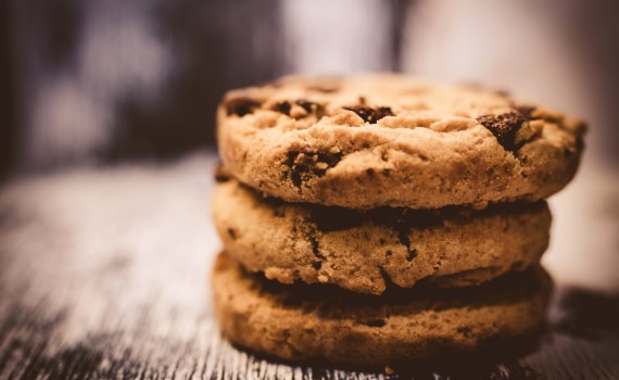 Lactation Cookies for traveling without breastfed baby