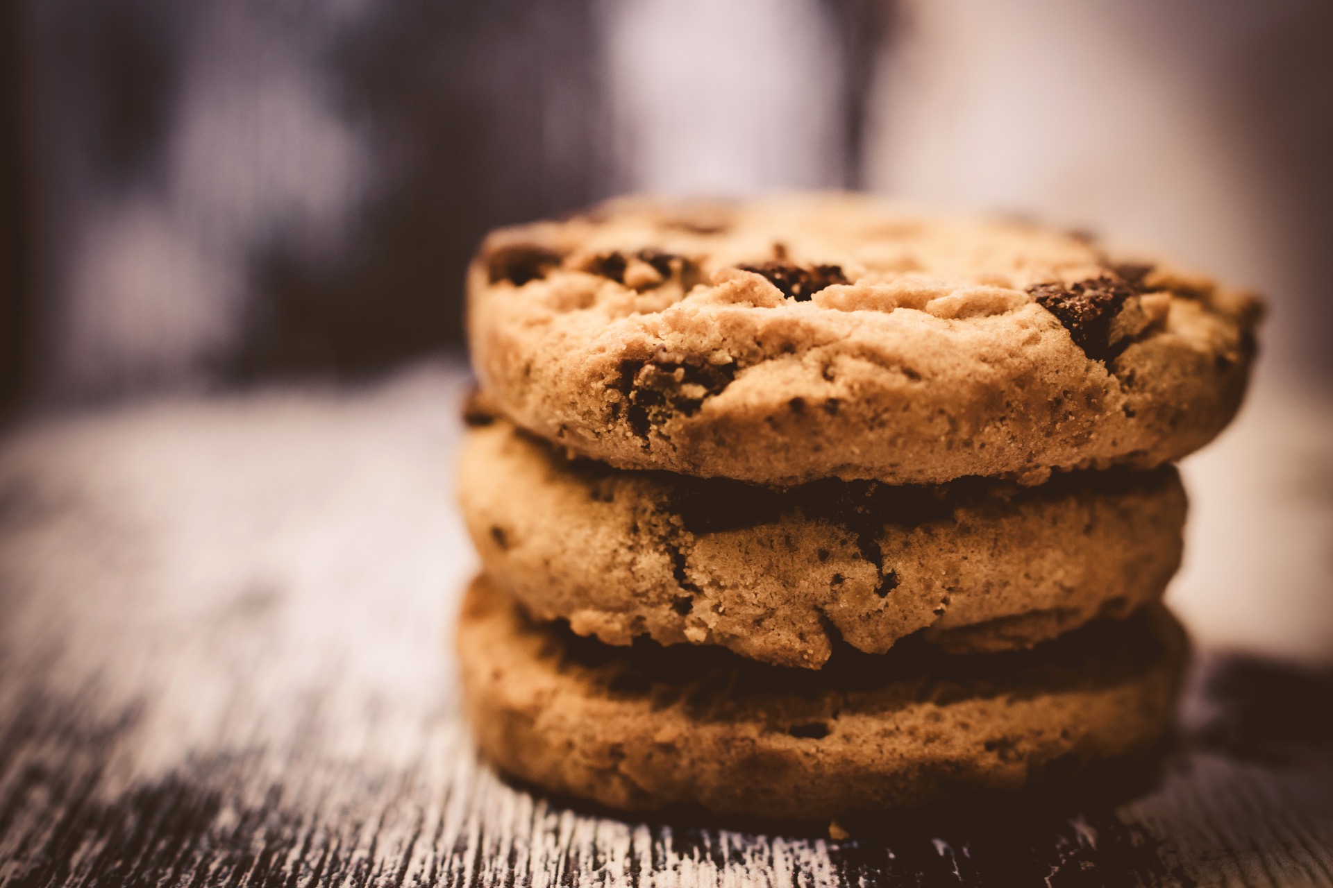 Lactation Cookies for traveling without breastfed baby