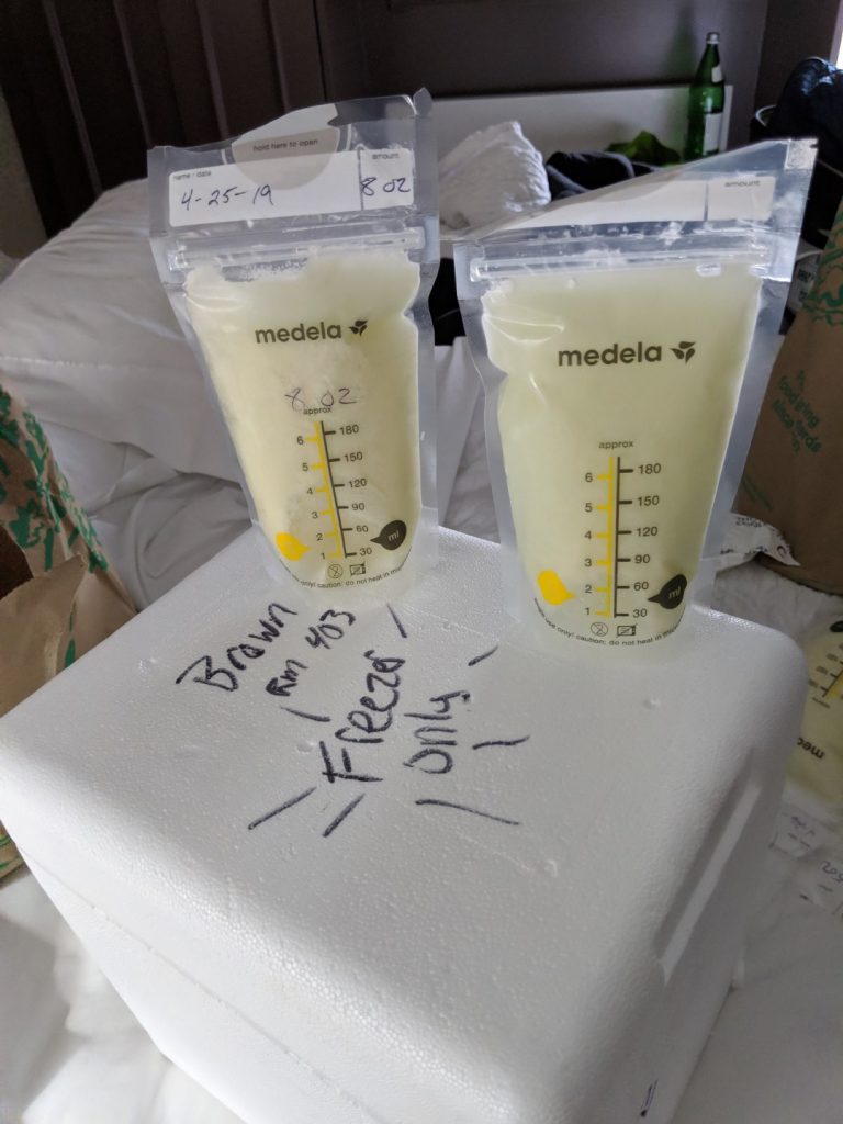 breastmilk travel