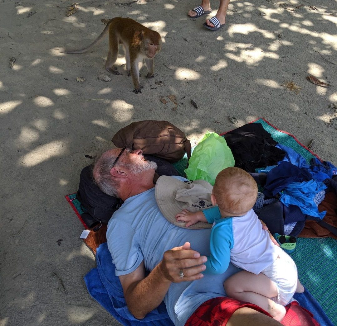 thailand monkeys