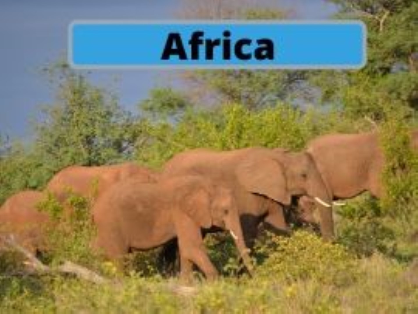 Africa Trip Blogs