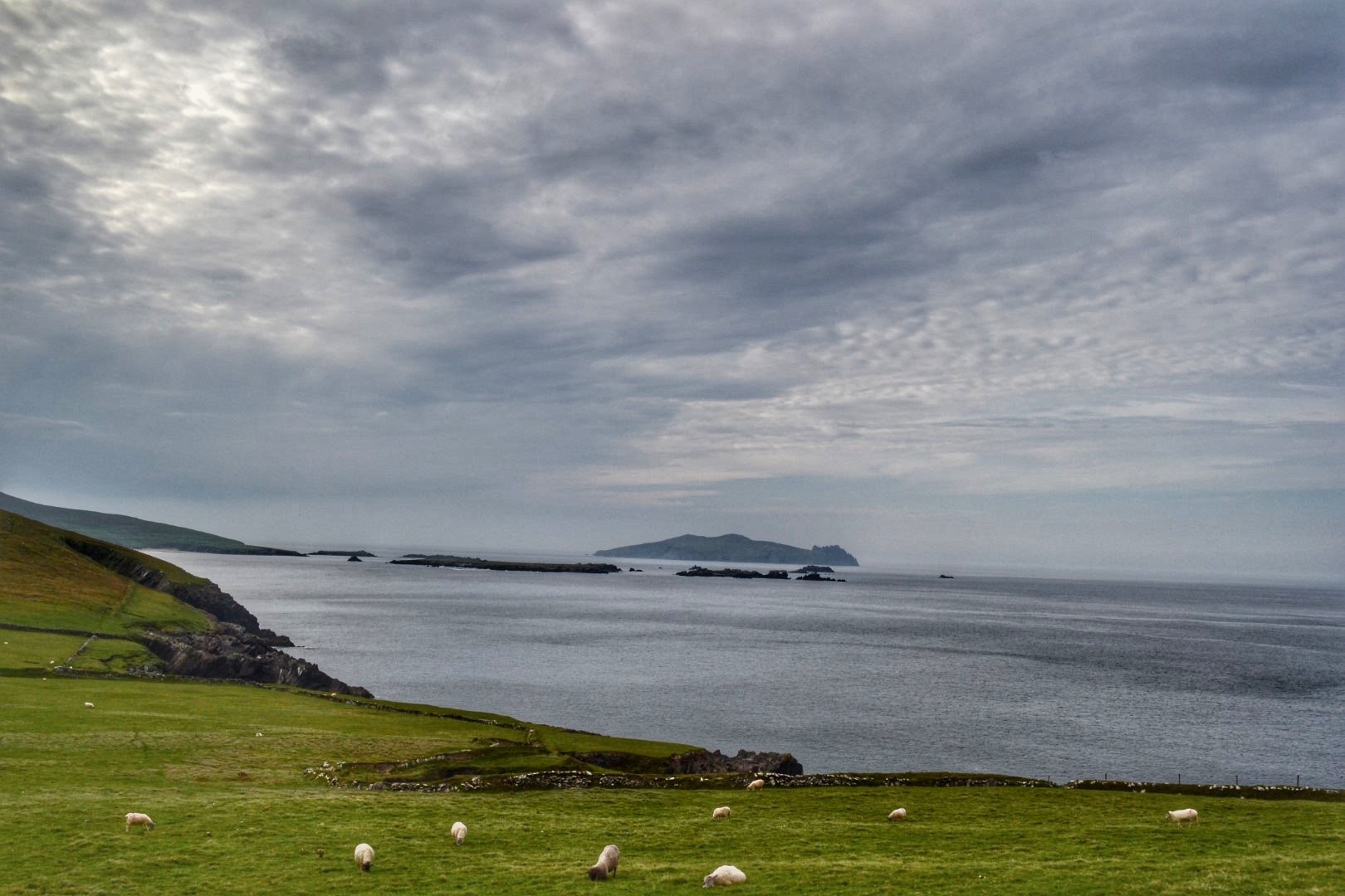 we used the rick steves dingle itinerary