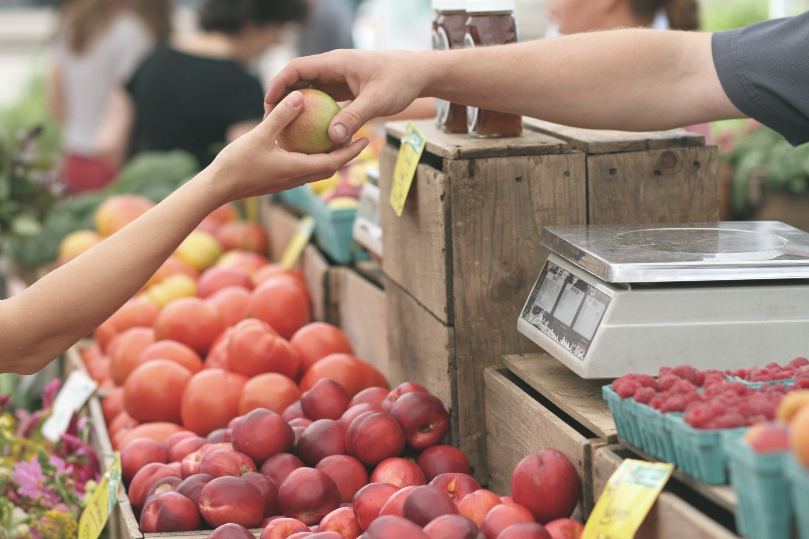 budget travel europe: go grocery shopping instead of eating out